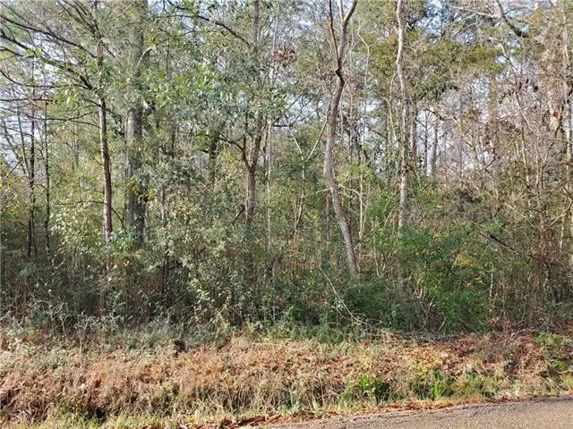 Jackson Street, Lacombe, LA 70445 - Image #3