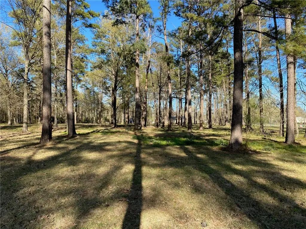 LOT 3 Lou Ann Drive, Colfax, LA 71417 - Image #1