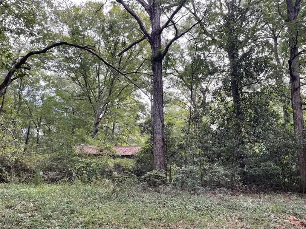 12829 Oakdale Road, Oakdale, LA 71463 - Image #1