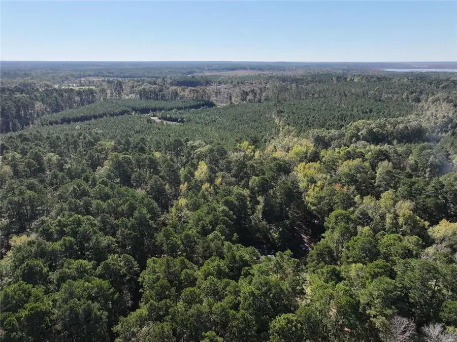 0 Canal Street, Ringgold, LA 71068 - #3