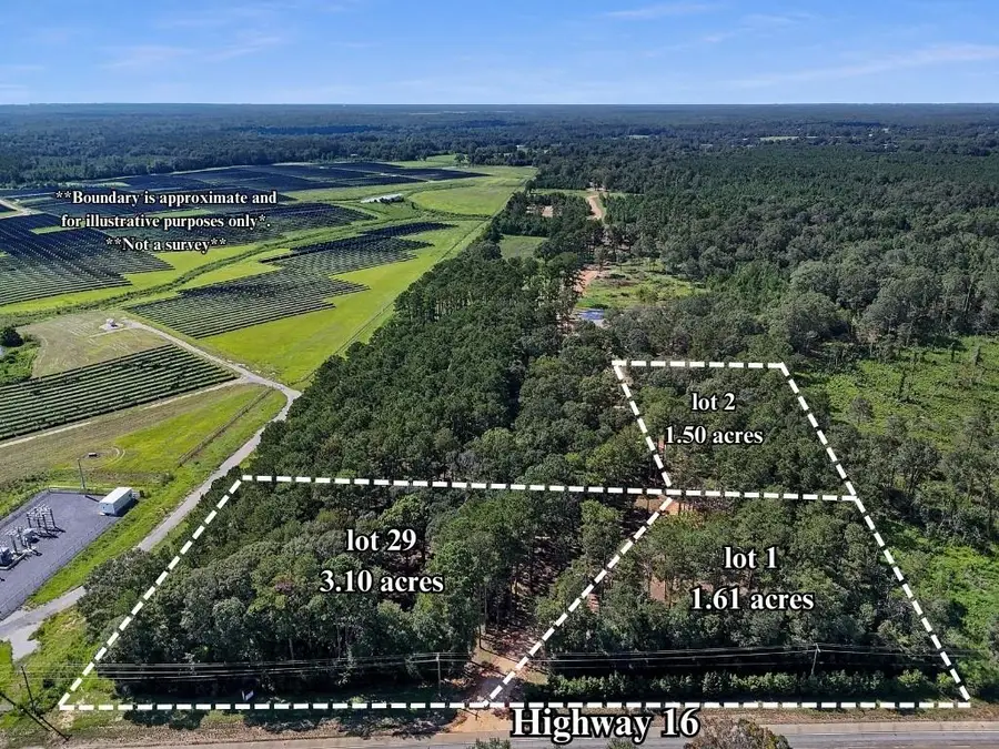 Lot 2 Hwy 16, Franklinton, LA 70438 - Image #3