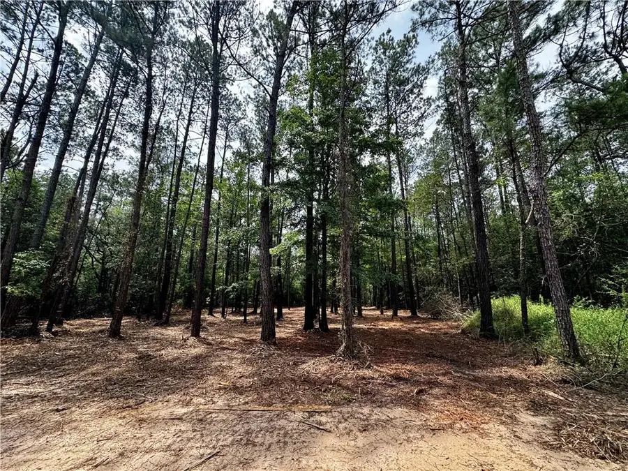 Lot 2 Ranchero Road, Covington, LA 70435 - Image #3