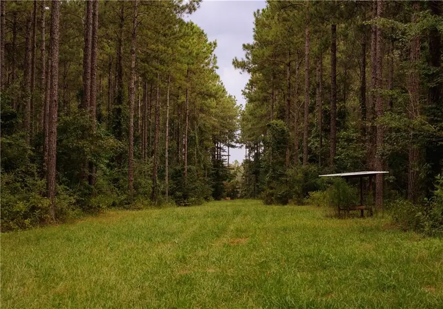 0 Hwy 1199, Elmer, LA 71424 - Image #2