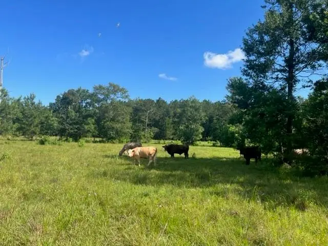 13.37 Acres Boyd Road, Covington, LA 70435 - Image #2