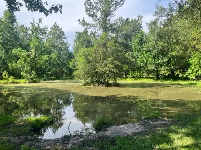 13.37 Acres Boyd Road, Covington, LA 70435 - Image #3