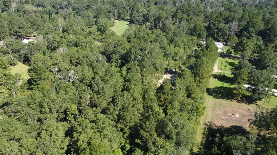 27184 Horseshoe Road, Independence, LA 70443 - #2