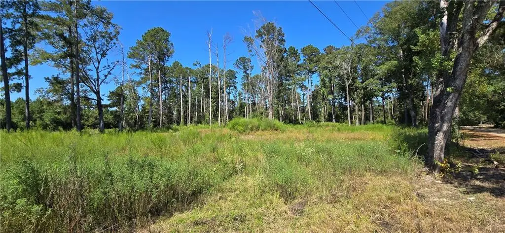 80 La Hwy 441, Holden, LA 70744 - Image #1