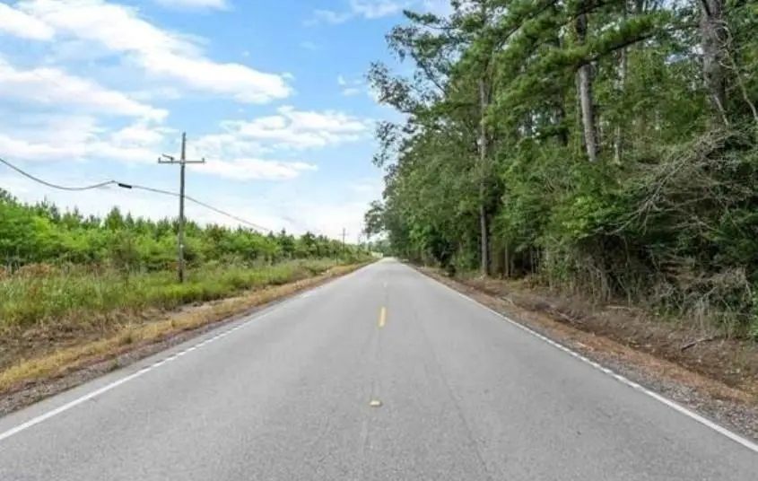 82 La Hwy 441, Holden, LA 70744 - Image #1