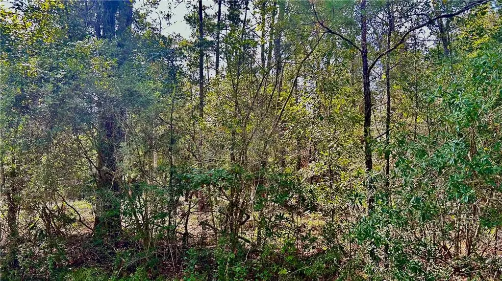 Yorktown Drive, Slidell, LA 70461 - #1