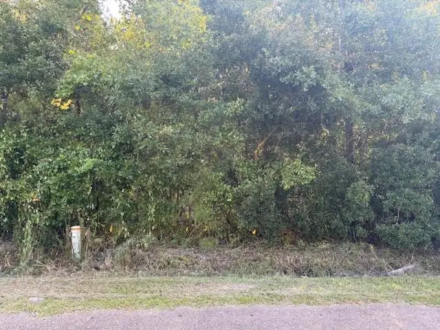 Joe Road, Lacombe, LA 70445 - Image #1