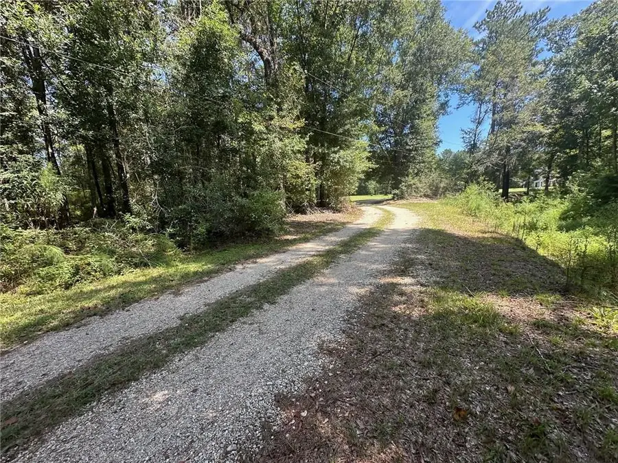 TBD Tract 4 Ragusa Road, Independence, LA 70443 - Image #3