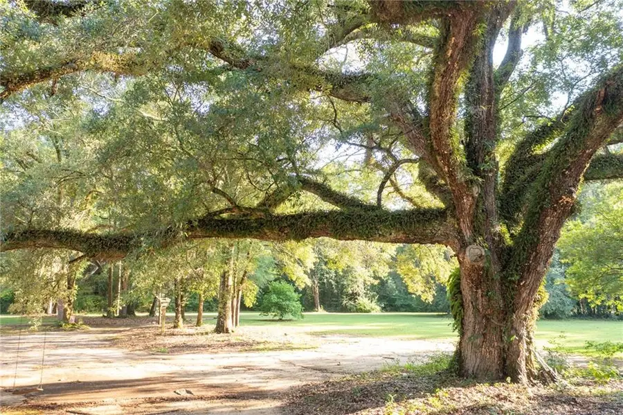 13029 Bessie Booth Road, Folsom, LA 70437 - Image #2