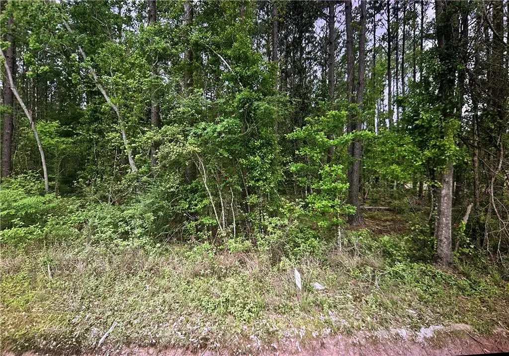 Lot 36 Nesom Road, Denham Springs, LA 70706 - Image #1