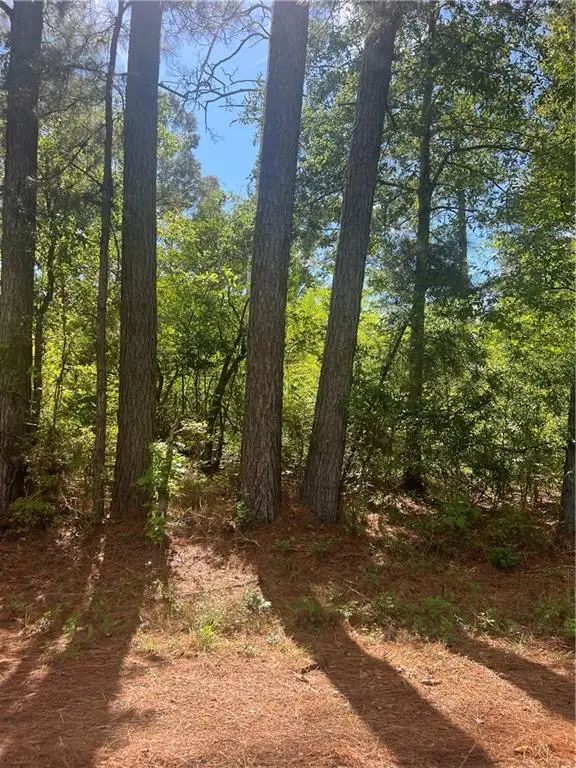 158 Lynn Lake Road, Pollock, LA 71467