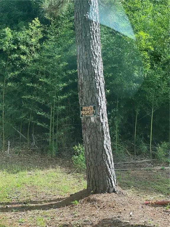 158 Lynn Lake Road, Pollock, LA 71467 - Image #3