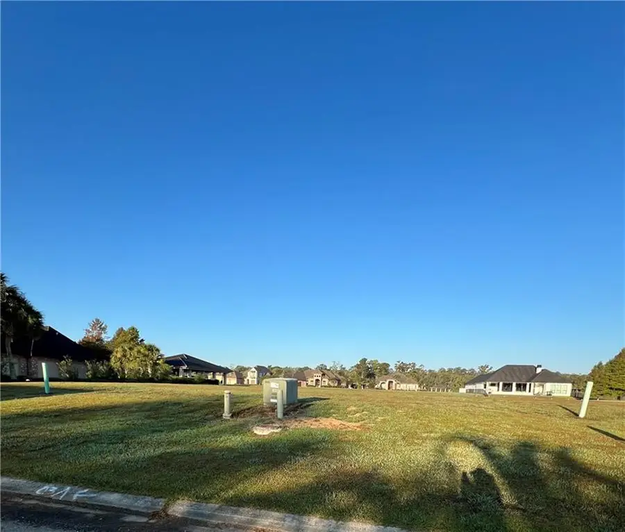 21549 Dolphin Court, Springfield, LA 70462 - Image #2