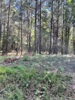 TBD Williams Lake Road, Pineville, LA 71360