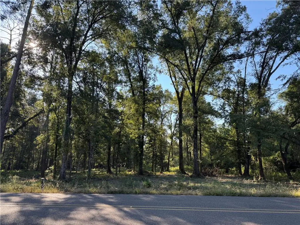 DP-2 Carter Cemetery Road, Springfield, LA 70462 - #1