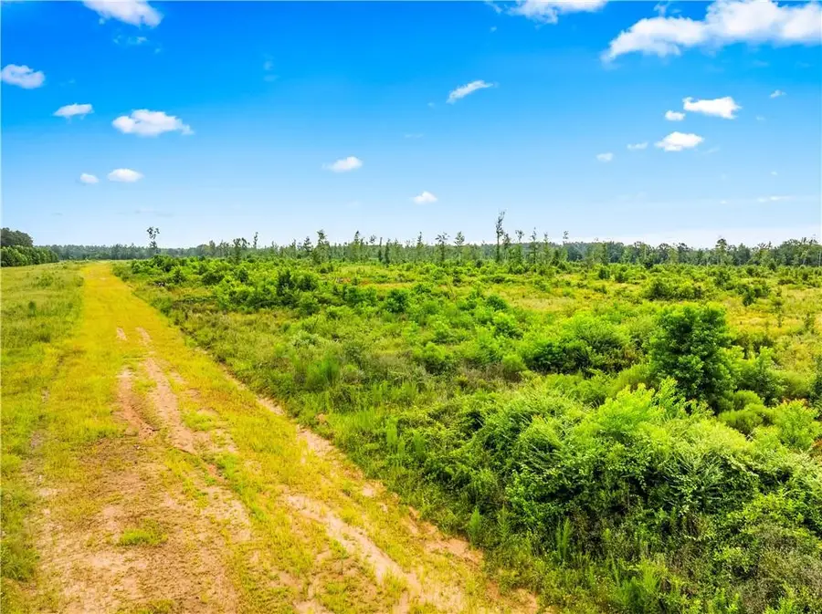 Mcnary Cutoff Lot 3 Road, Glenmora, LA 71433 - #2