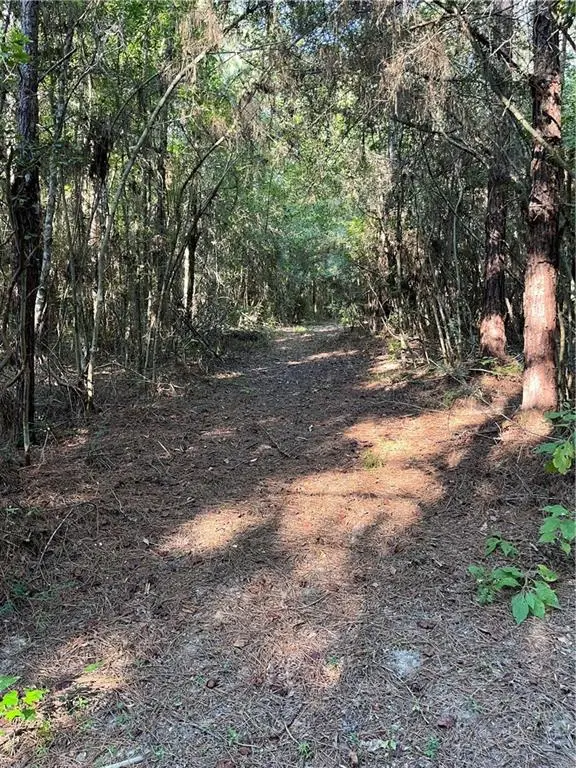 Aunt Margie's Road, Greensburg, LA 70441