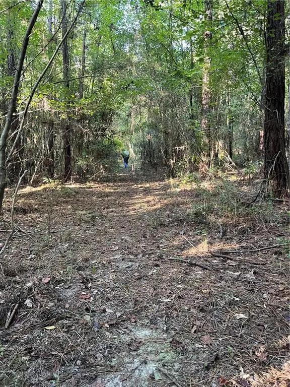 Aunt Margie's Road, Greensburg, LA 70441 - Image #2