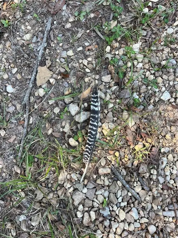 Aunt Margie's Rd Road, Greensburg, LA 70441 - #2