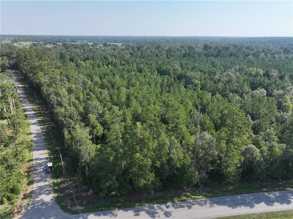 La 1045 Highway, Amite, LA 70422 - Image #1