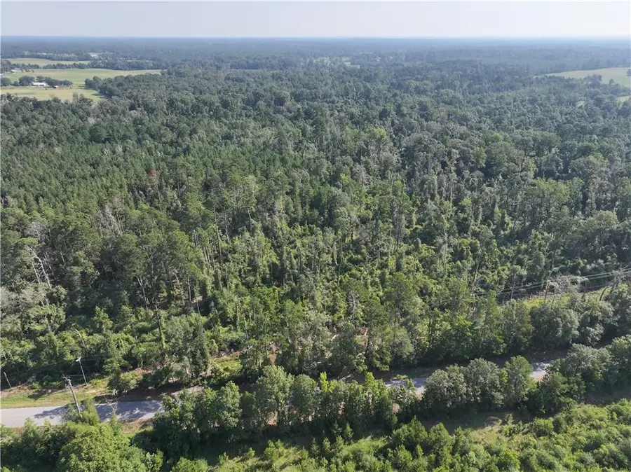 La 1045 Highway, Amite, LA 70422 - Image #3