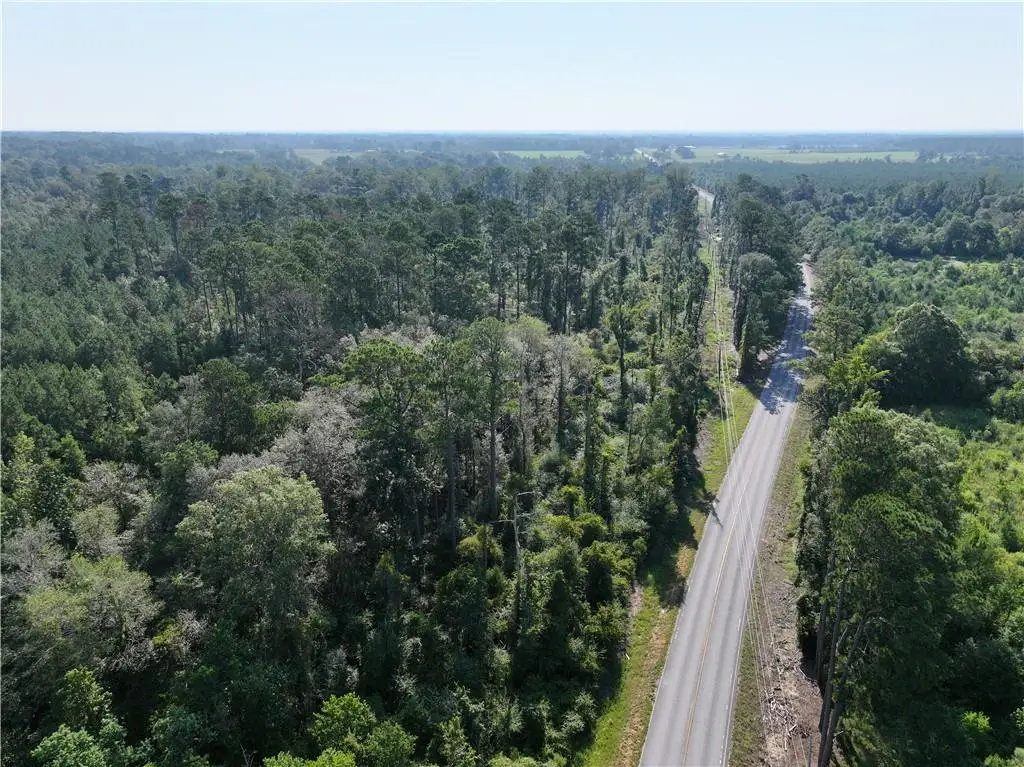 La 1045 Highway, Amite, LA 70422 - Image #1