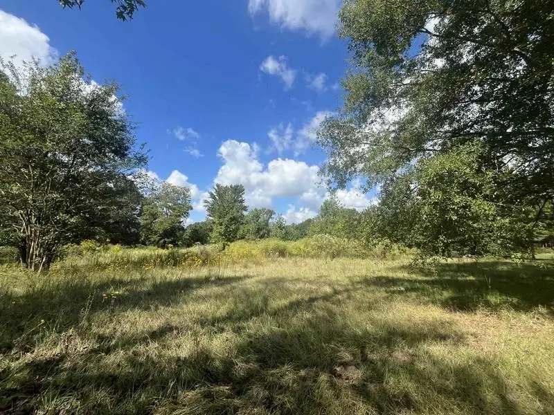 96 Borland Road, Deville, LA 71328 - Image #3