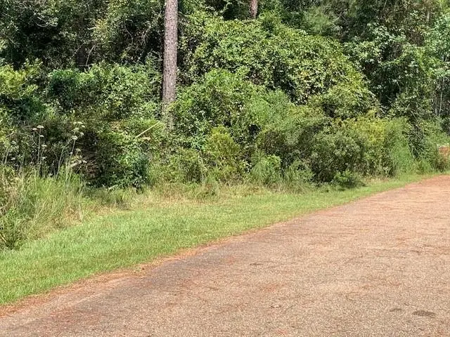 0 Sq 30 Crain Street, Abita Springs, LA 70420 - #3