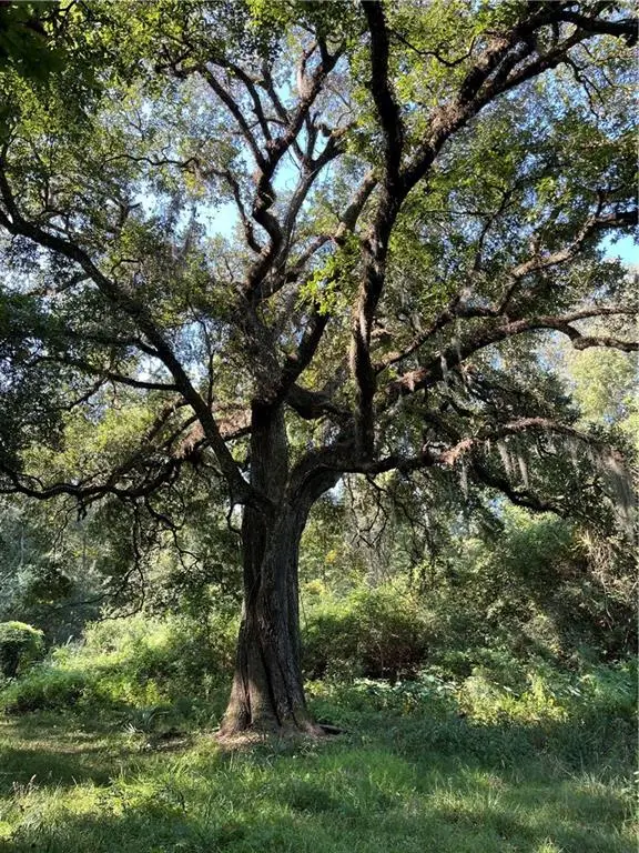 Hwy 42 Highway, Prairieville, LA 70769