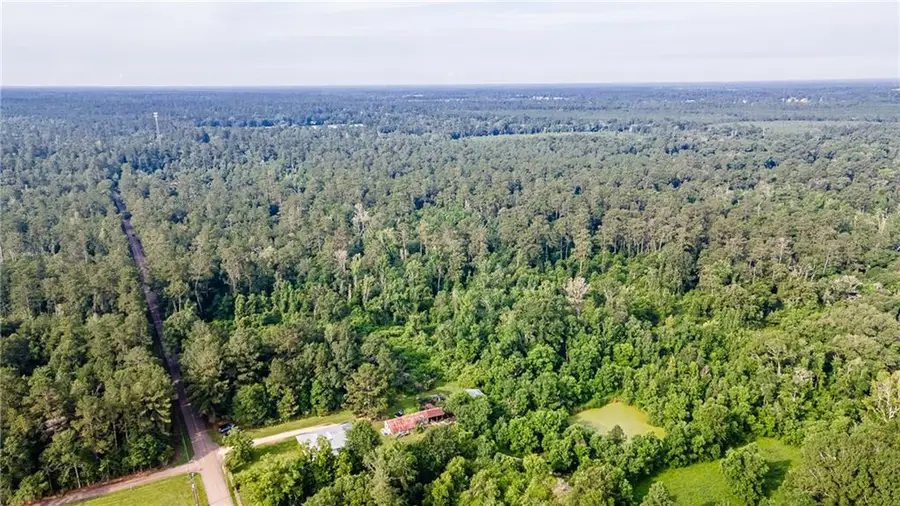 Lee Settlement Road, Folsom, LA 70437 - Image #3