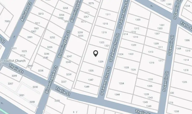 1329 S Telemachus Street, New Orleans, LA 70125 - Image #2
