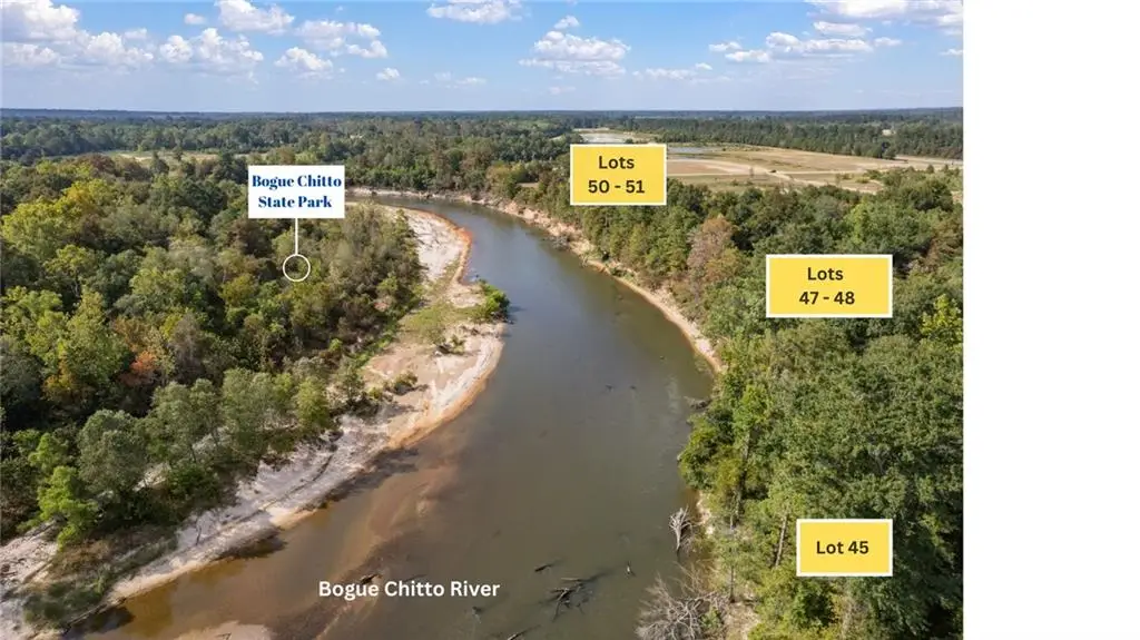 Lot 51 Banks Drive - Hwy 16 Highway, Franklinton, LA 70438 - #1