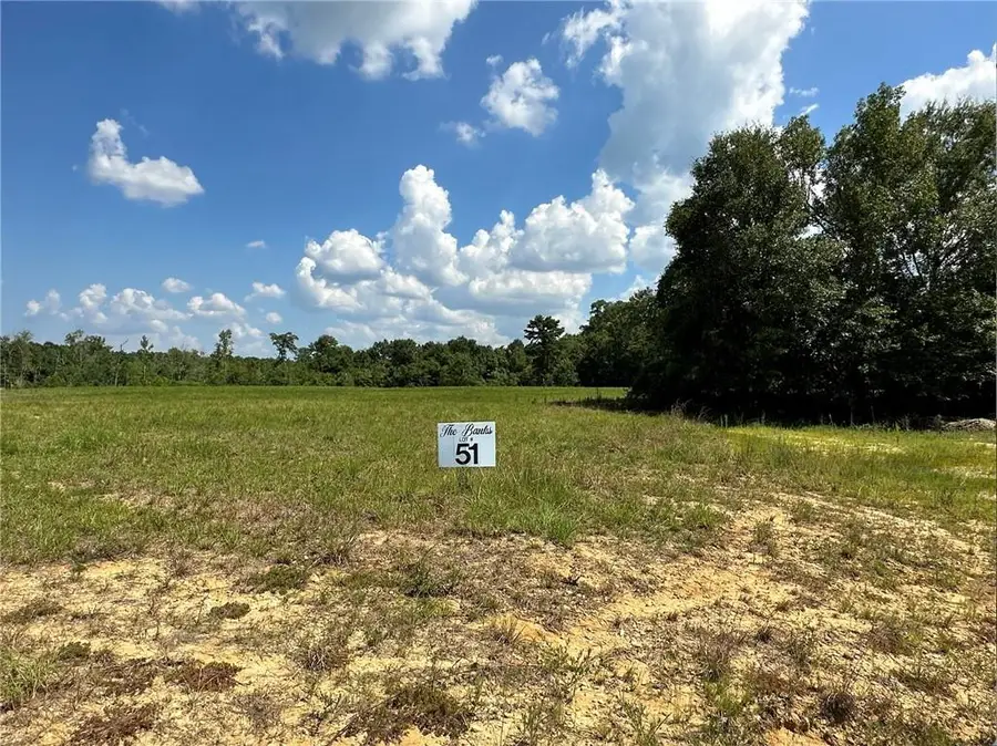 Lot 51 Banks Drive - Hwy 16 Highway, Franklinton, LA 70438 - #3