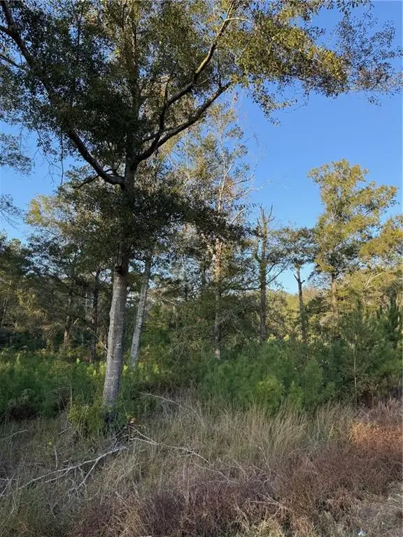 TBD Hwy 442 And Hwy 1065, Tickfaw, LA 70466 - Image #1