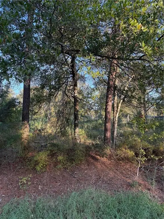 TBD Hwy 442 And Hwy 1065, Tickfaw, LA 70466 - Image #3