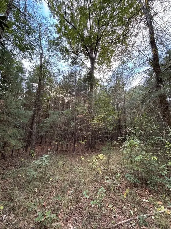 350 Walker Gravel Pit Road, Dry Prong, LA 71423 - Image #1