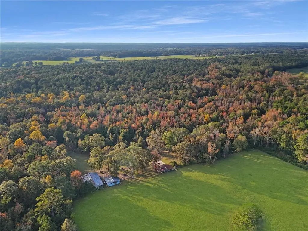 30163 Red Penton Road, Franklinton, LA 70438 - Image #1