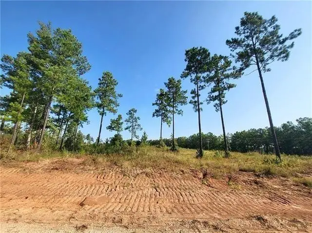 0 Hwy 117 Lot 10 Highway, Provencal, LA 71468 - Image #2