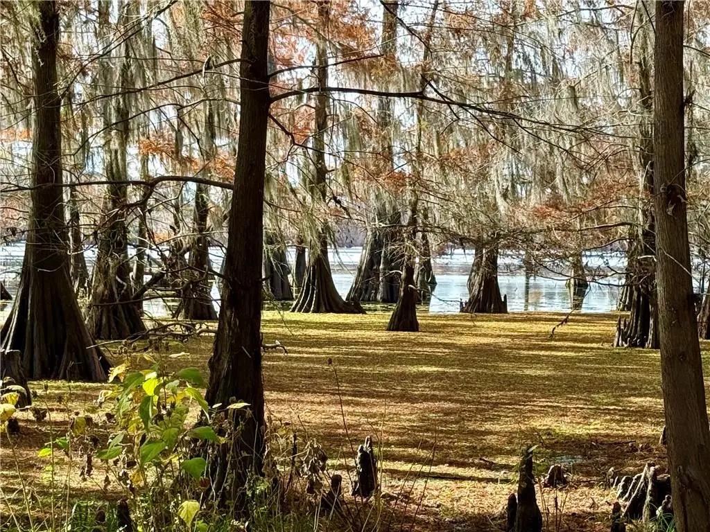 Hardwater Lake Road, Pollock, LA 71467 - #1