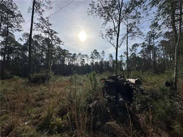 22116 Nolan Road, Covington, LA 70435