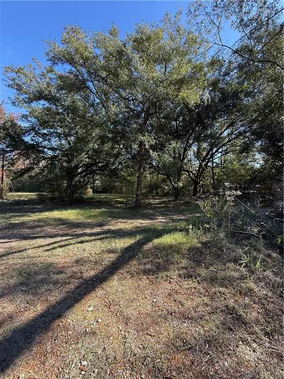 42202 S Range Road, Ponchatoula, LA 70454