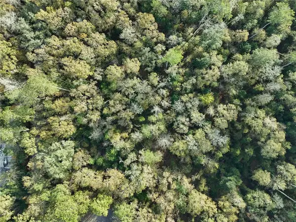 Parcel 2 Wilson Road, Covington, LA 70435