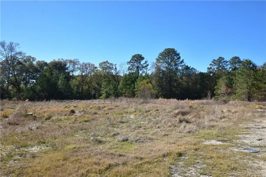 67221 Chris Kennedy Road, Pearl River, LA 70452 - #2