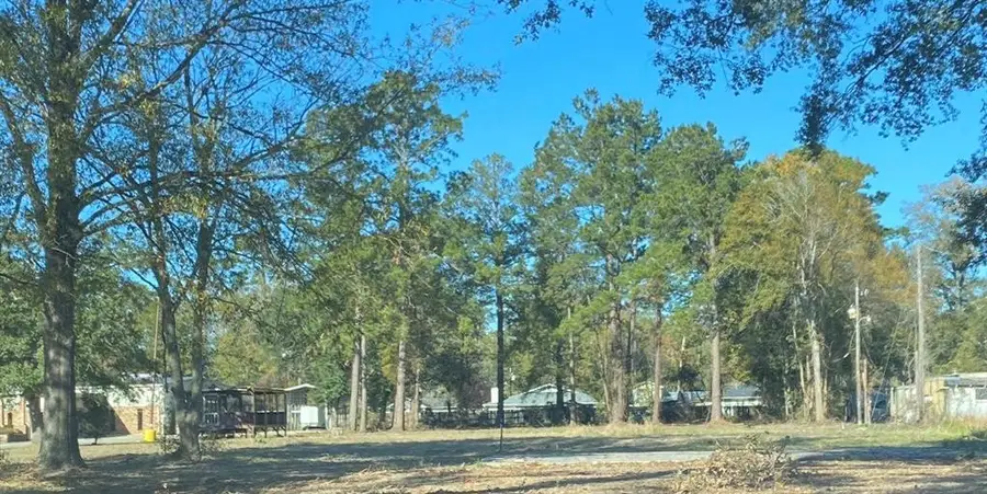 800 E Pine Street, Ponchatoula, LA 70454 - #3