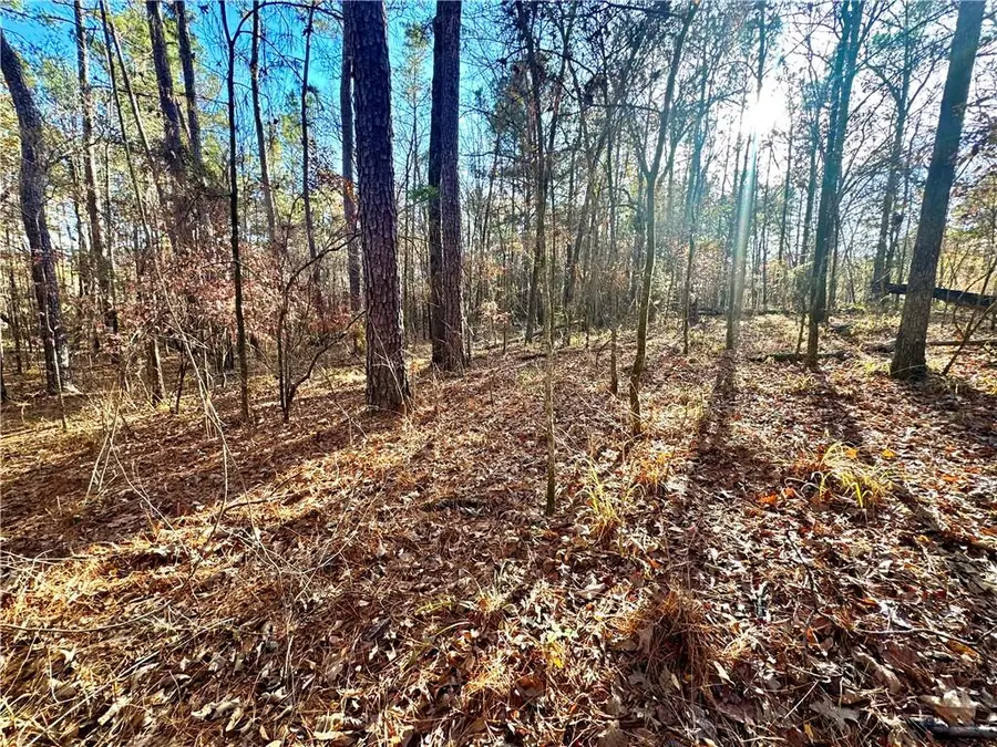 TBD Howard Road, Robeline, LA 71469 - Image #2