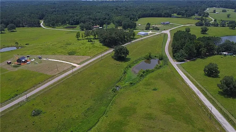11.6 Acres Lee Road, Franklinton, LA 70438 - #3