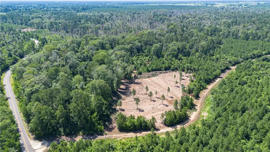 Lot 2 Ten Mile Road, Pitkin, LA 70656 - #2